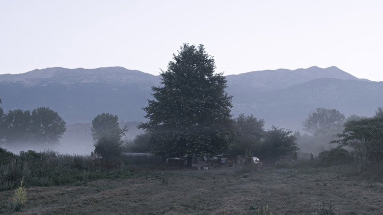 Scene 5