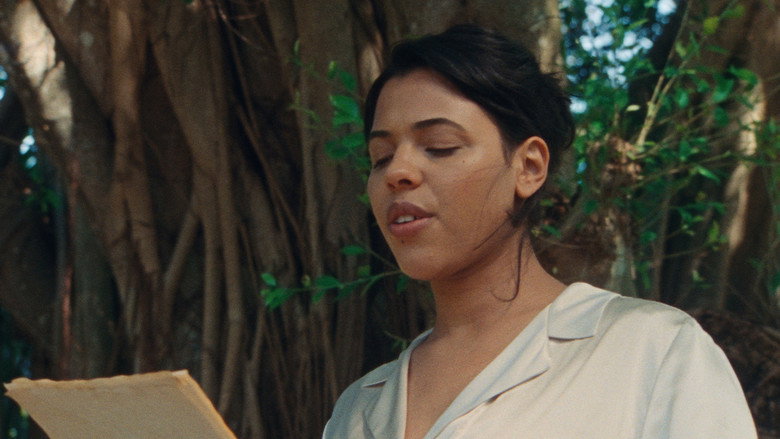 Scene 5