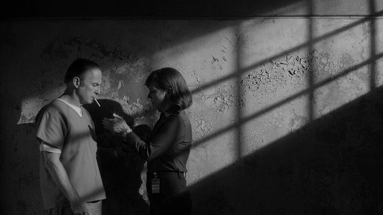 Scene 5