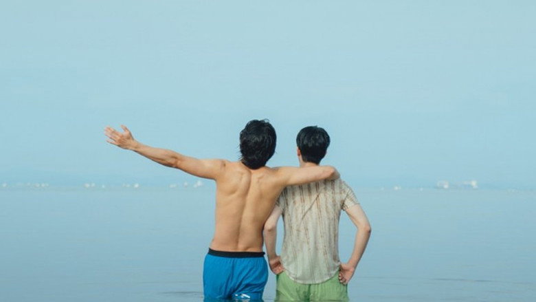 view all