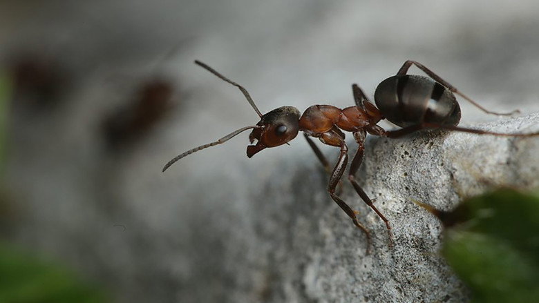 Scene 5