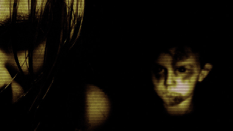 Scene 5