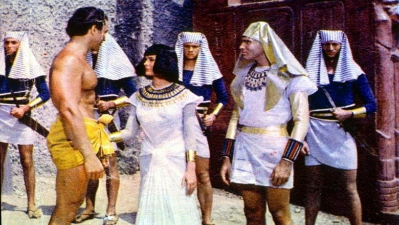 Scene 5