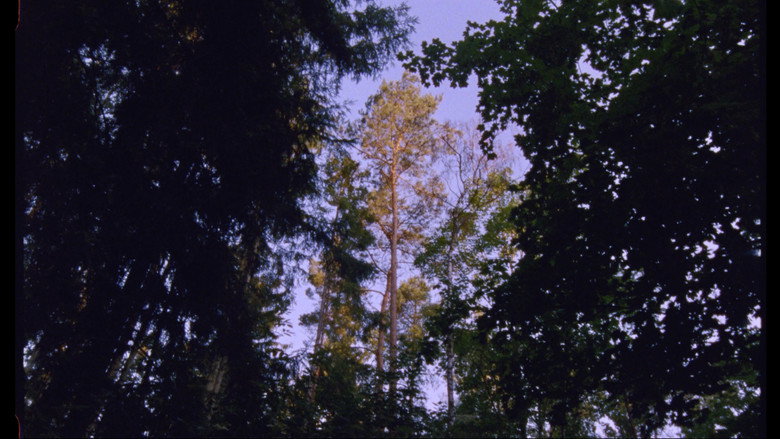 Scene 3