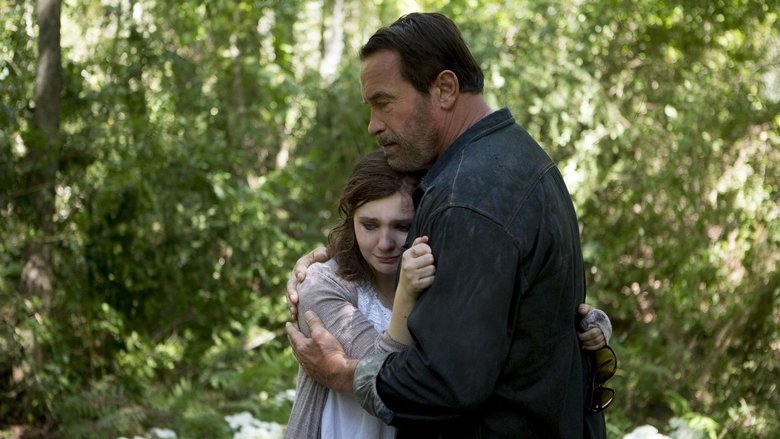 Scene 3