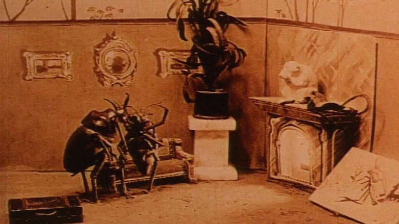 Scene 5