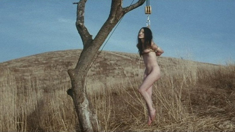 Scene 4