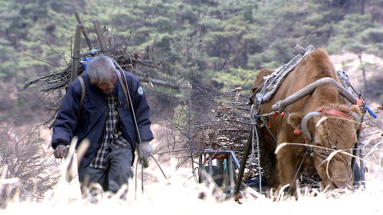 Scene 4