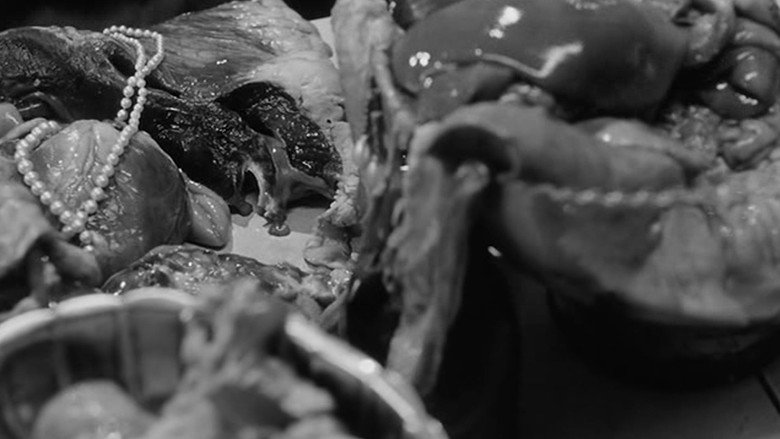 Scene 5