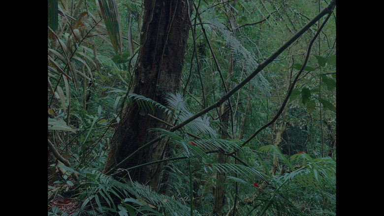 Scene 5