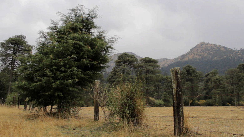 Scene 3