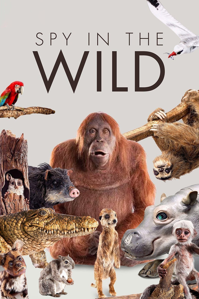 Poster 4