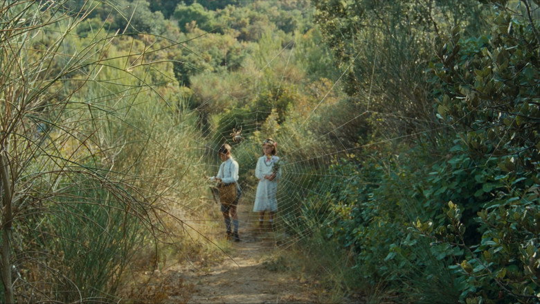 Scene 5