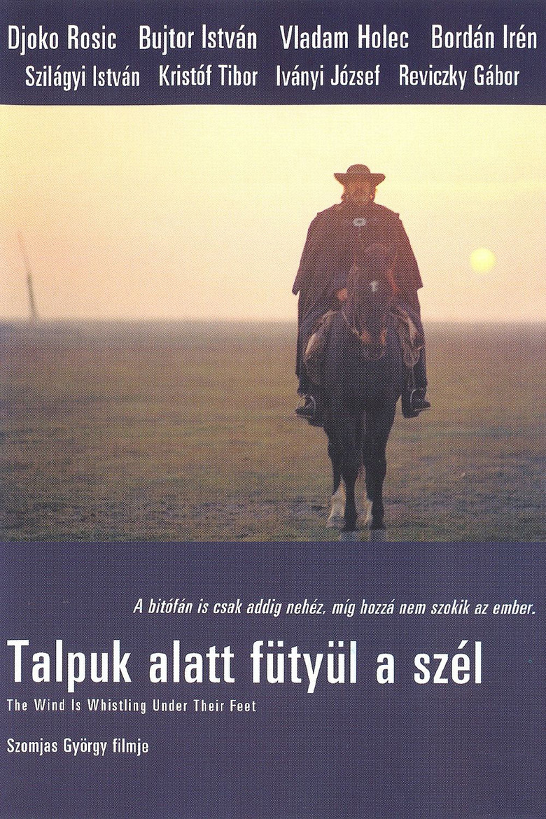 Poster 3