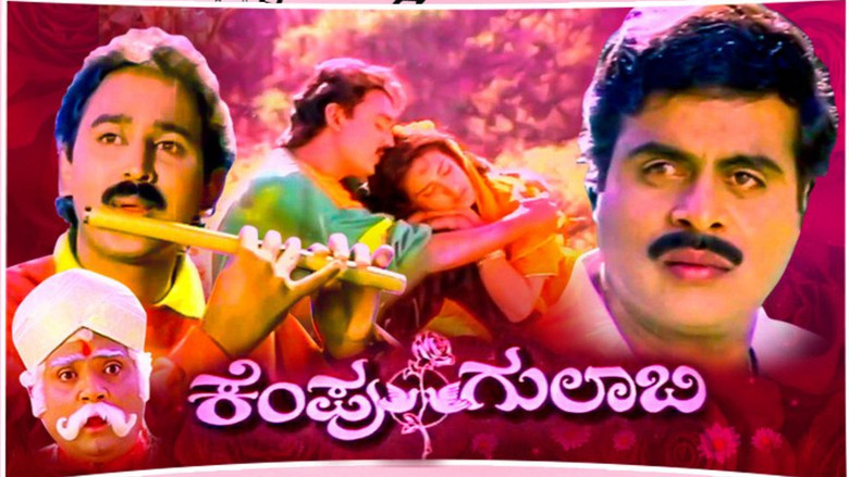 Kempu Gulabi backdrop