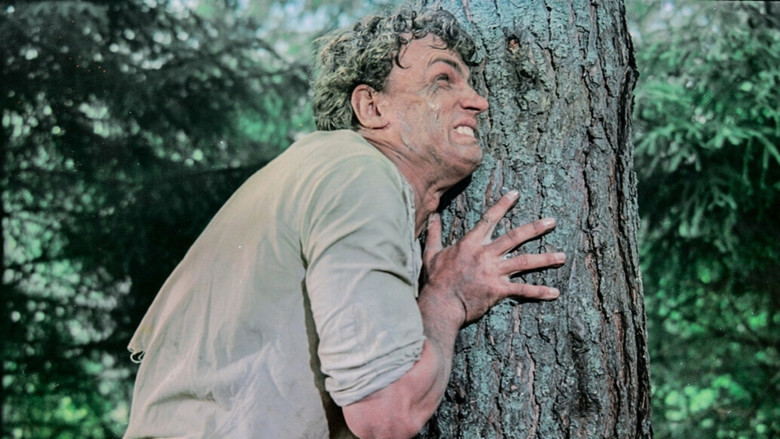 Scene 3