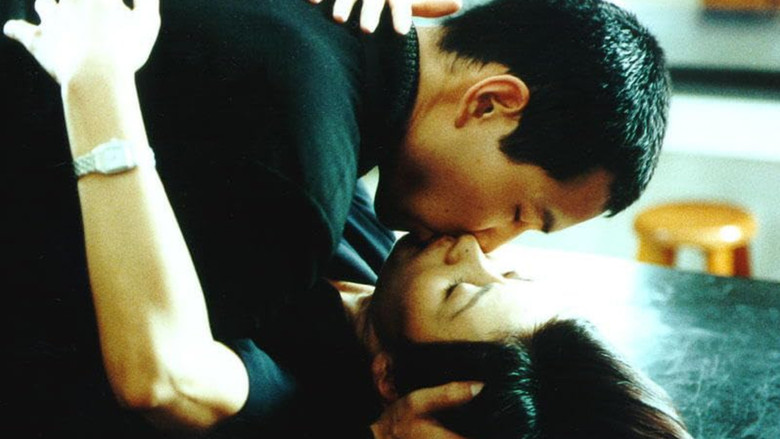 Scene 5