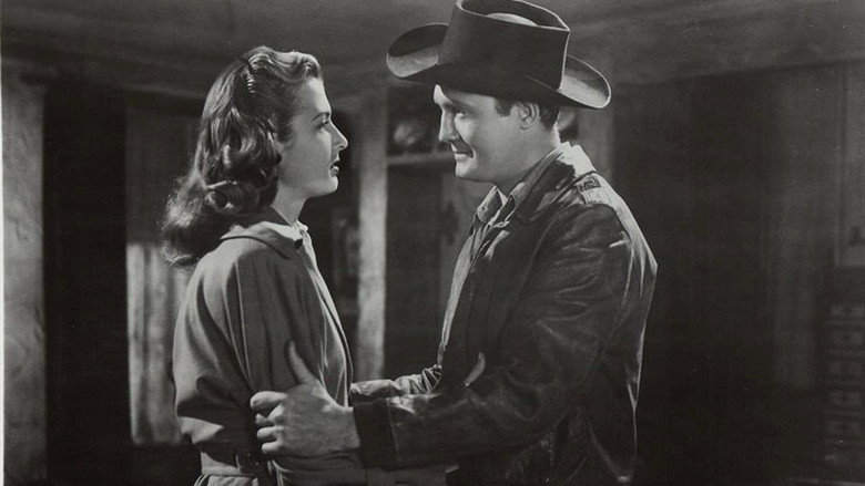 Scene 3