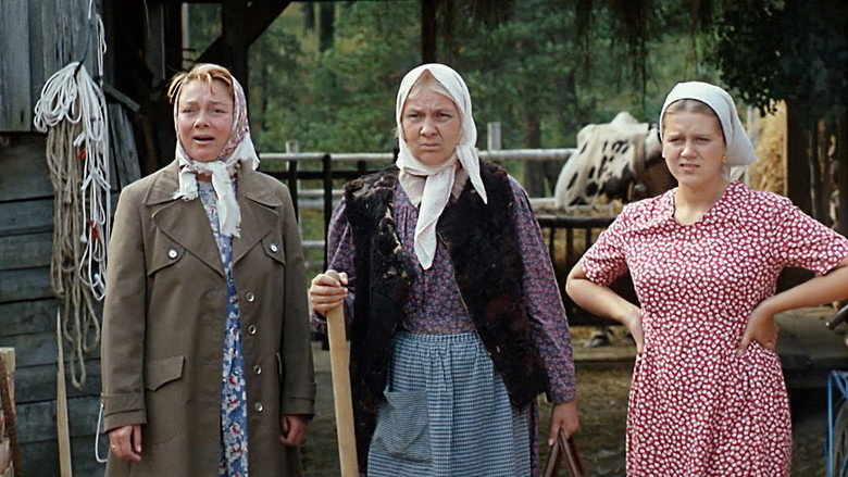 Scene 5
