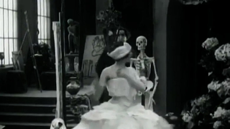 Scene 5