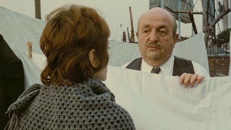 Scene 3