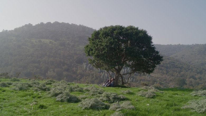 Scene 3