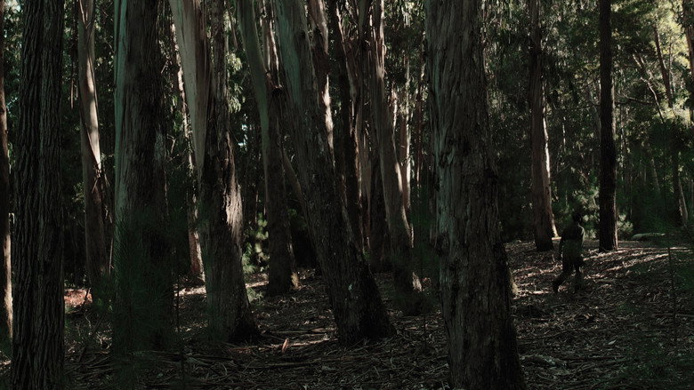 Scene 1