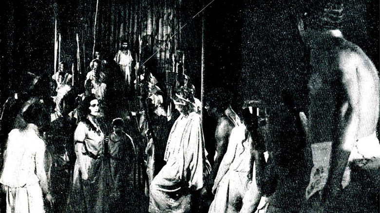 Scene 3