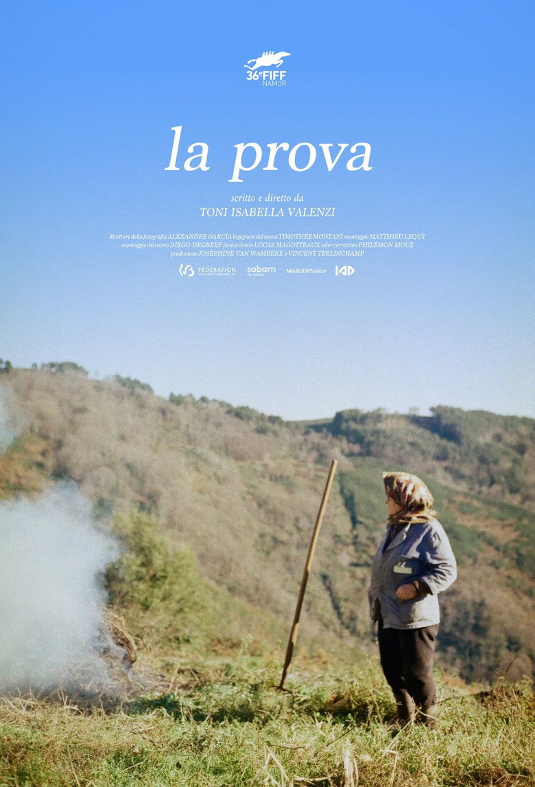 Poster 1