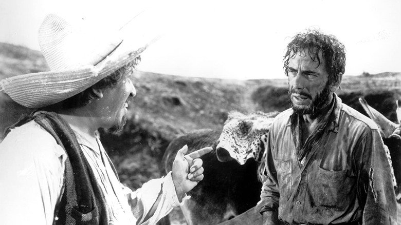 Scene 3