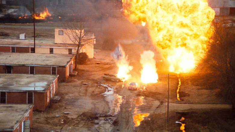Scene 5
