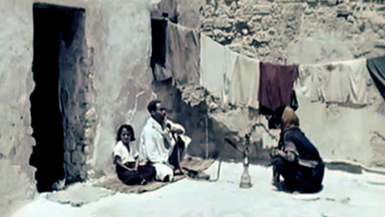 Scene 5
