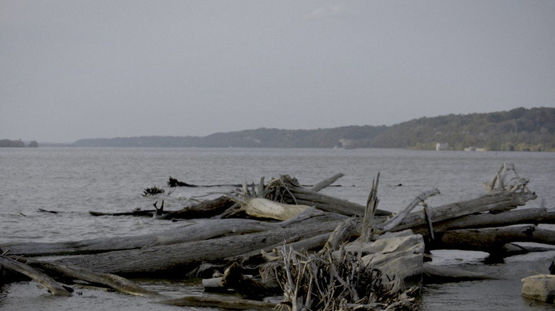 Smallpox Island backdrop