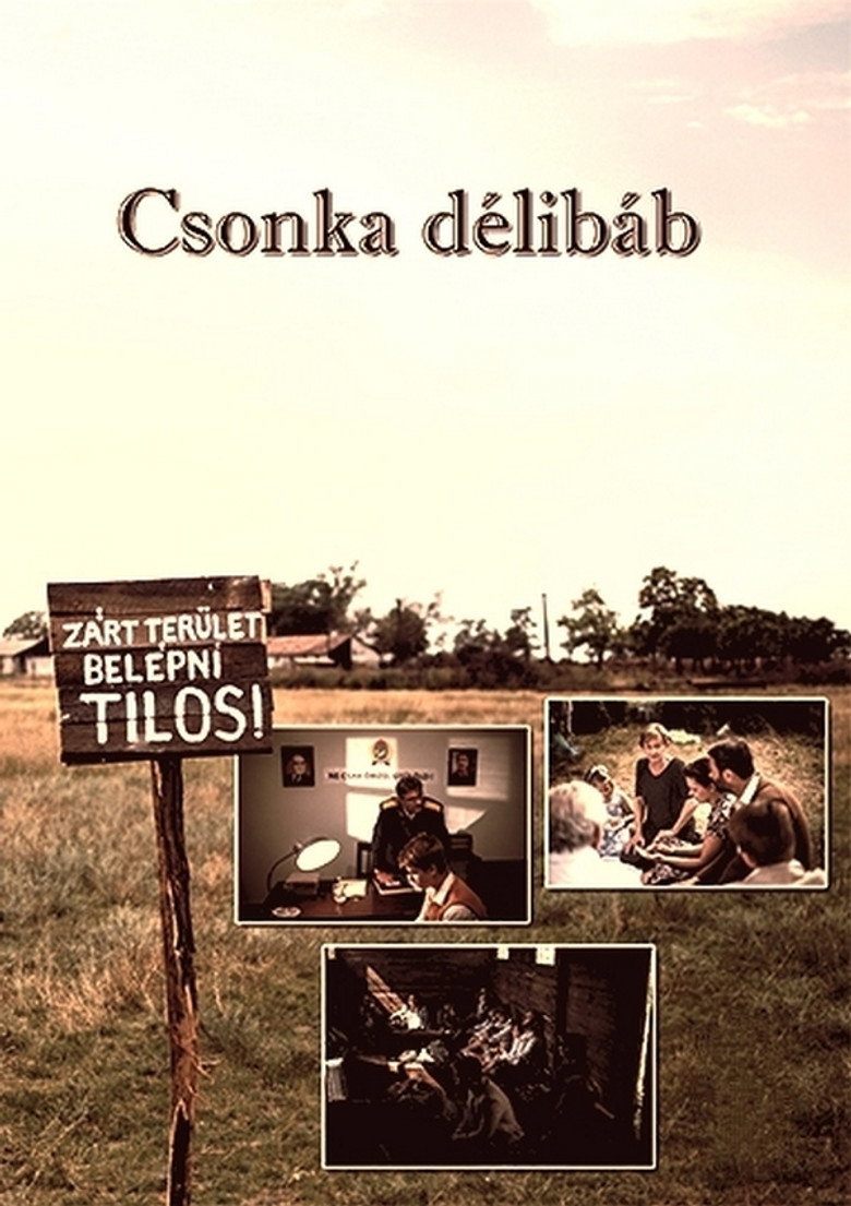 Poster 1