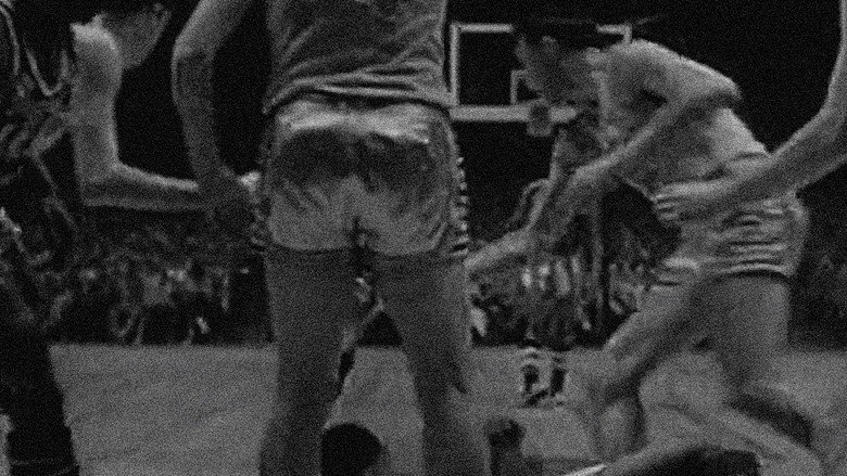 Scene 5
