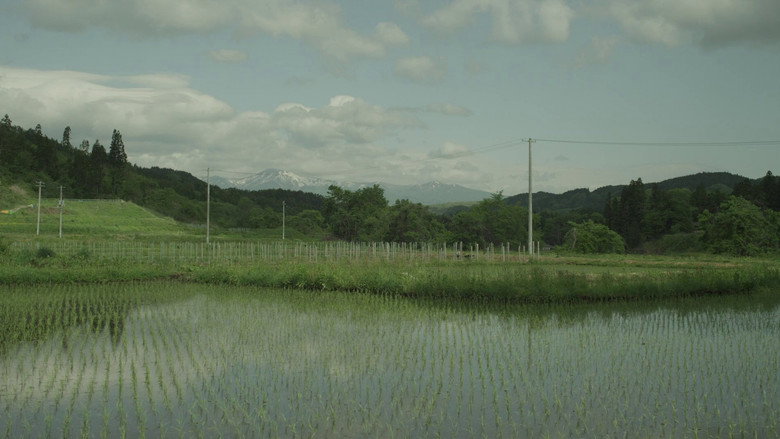 Scene 3