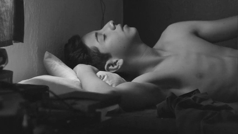Scene 3