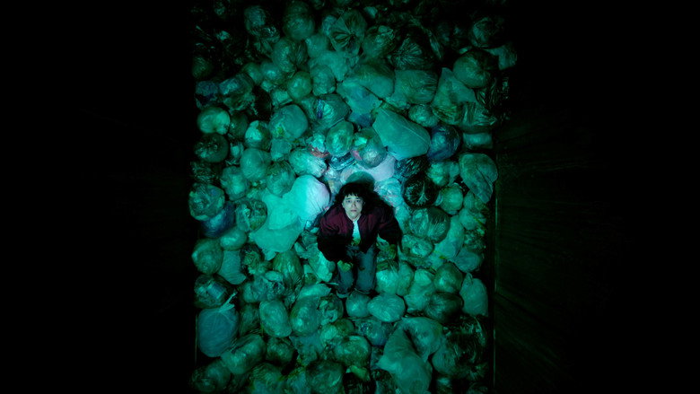 Scene 5