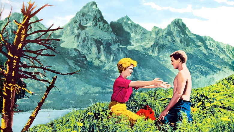 Scene 5