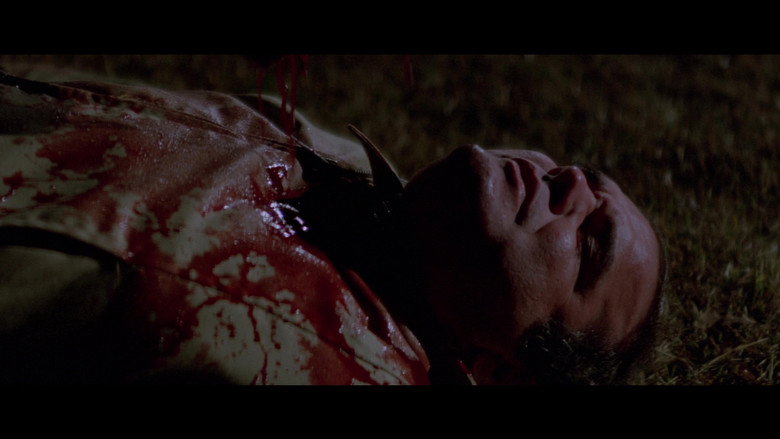 Scene 5