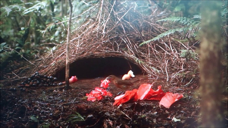 Scene 3
