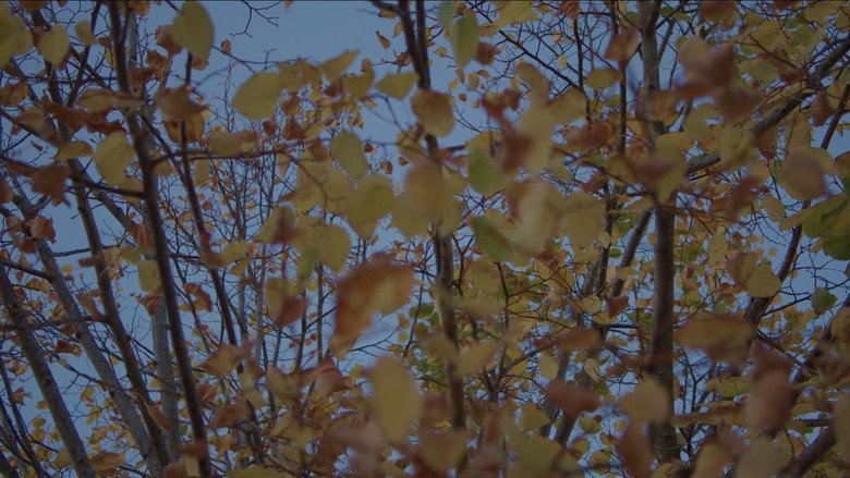 Scene 3
