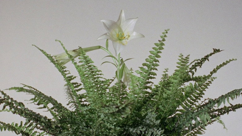 Scene 4