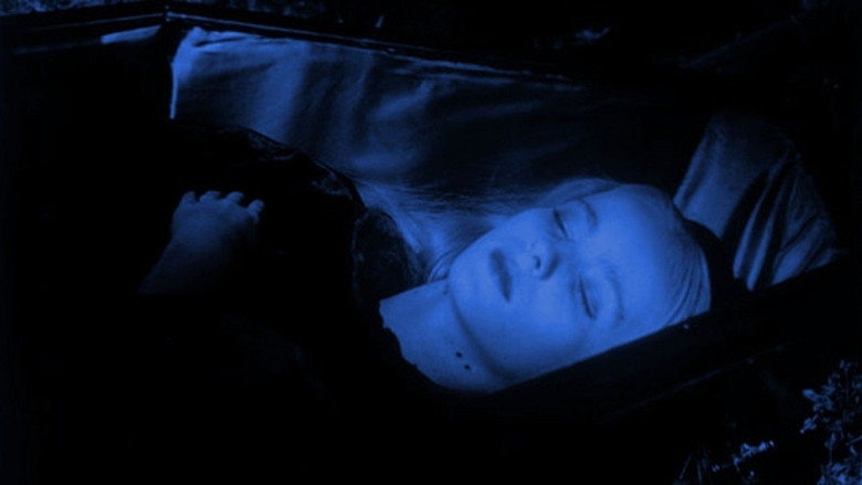 Scene 3