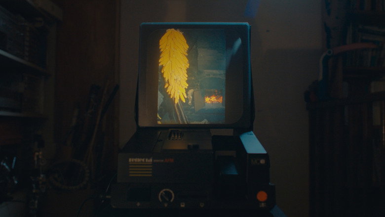 Scene 5