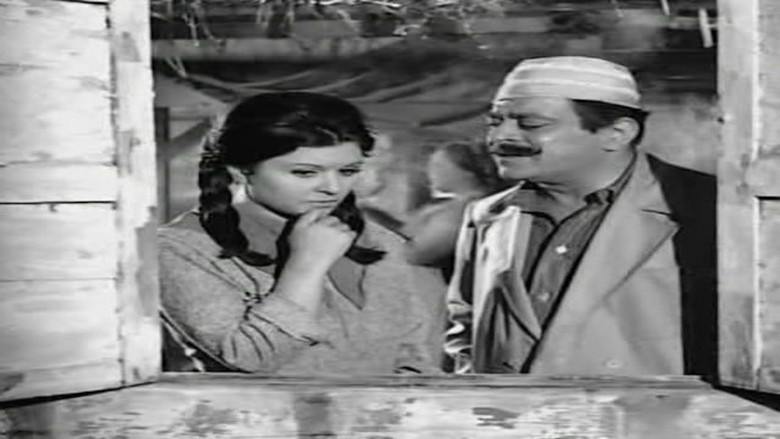 Scene 3