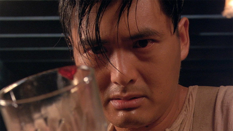 Scene 5