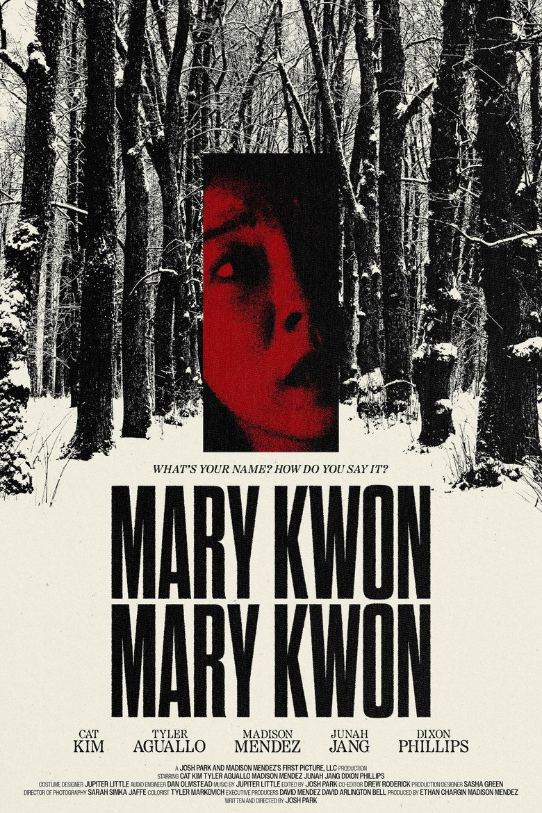 Poster 1