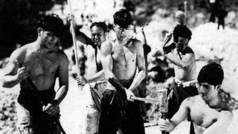 Scene 5