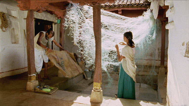 Scene 5